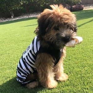 Meet your Posher, Kennedy